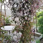 Apartman Emma Mali Losinj